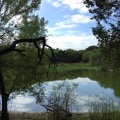 Preserving San Antonio's Natural Beauty: A Look into Environmental Conservation