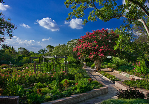 The Journey Towards a Greener San Antonio: A Closer Look at Waste Management and Recycling